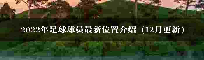 2022年足球球员最新位置介绍（12月更新）