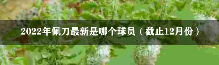 2022年佩刀最新是哪个球员（截止12月份）