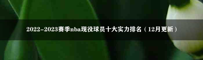 2022-2023赛季nba现役球员十大实力排名（12月更新）