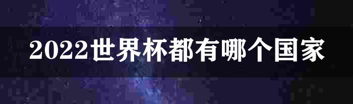 2022世界杯都有哪个国家