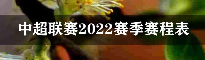 中超联赛2022赛季赛程表
