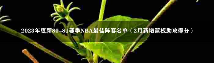 2023年更新80-81赛季NBA最佳阵容名单（2月新增篮板助攻得分）