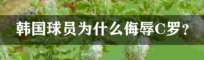 韩国球员为什么侮辱C罗？