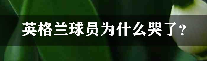 英格兰球员为什么哭了？