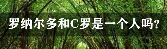 罗纳尔多和C罗是一个人吗？