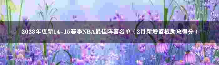 2023年更新14-15赛季NBA最佳阵容名单（2月新增篮板助攻得分）