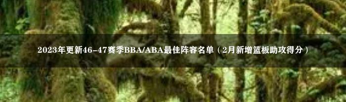 2023年更新46-47赛季BBA/ABA最佳阵容名单（2月新增篮板助攻得分）