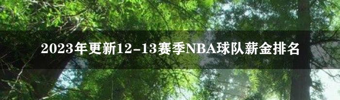 2023年更新12-13赛季NBA球队薪金排名