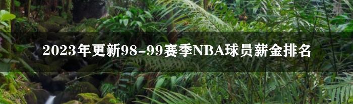 2023年更新98-99赛季NBA球员薪金排名