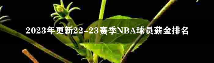 2023年更新22-23赛季NBA球员薪金排名