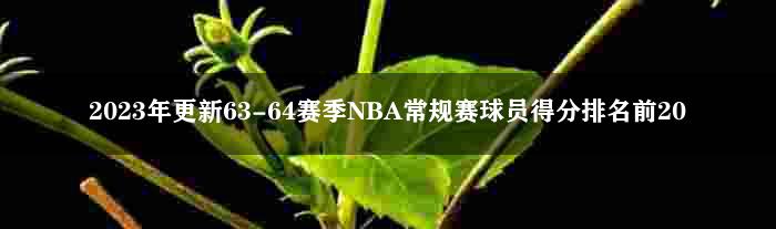 2023年更新63-64赛季NBA常规赛球员得分排名前20