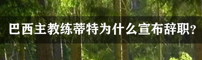 巴西主教练蒂特为什么宣布辞职？