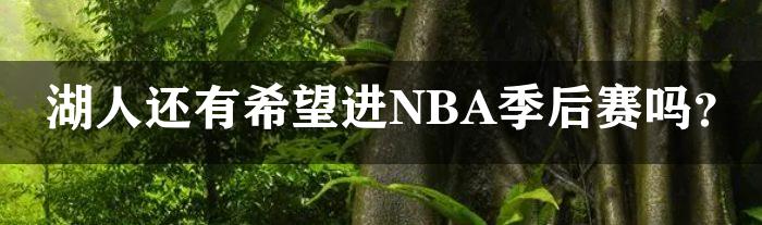 湖人还有希望进NBA季后赛吗？