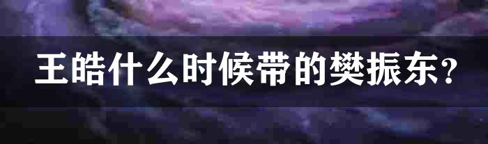 王皓什么时候带的樊振东？