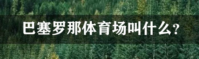 巴塞罗那体育场叫什么？