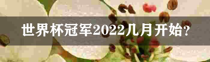 世界杯冠军2022几月开始？