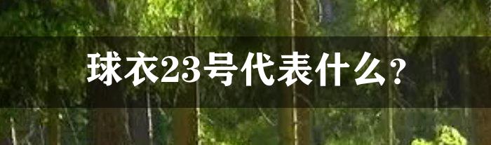 球衣23号代表什么？