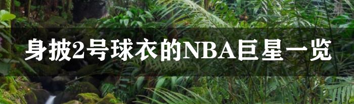 身披2号球衣的NBA巨星一览