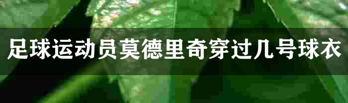 足球运动员莫德里奇穿过几号球衣