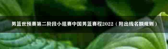 男篮世预赛第二阶段小组赛中国男篮赛程2022（附出线名额规则）