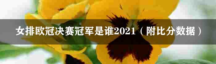 女排欧冠决赛冠军是谁2021（附比分数据）