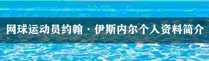 网球运动员约翰·伊斯内尔个人资料简介