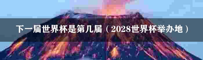 下一届世界杯是第几届（2028世界杯举办地）