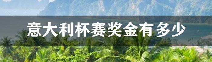 意大利杯赛奖金有多少