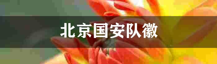 北京国安队徽