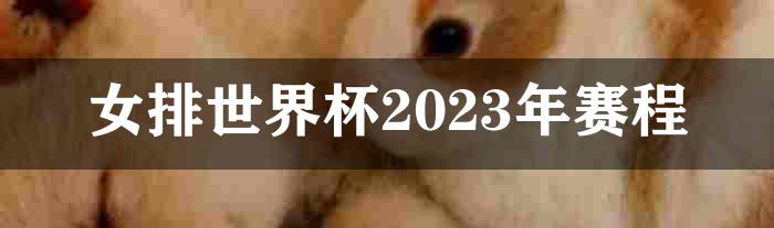 女排世界杯2023年赛程