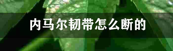 内马尔韧带怎么断的