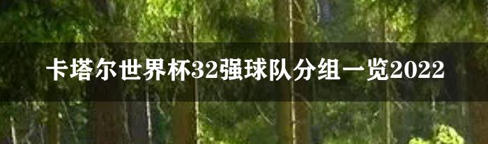 卡塔尔世界杯32强球队分组一览2022