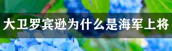 大卫罗宾逊为什么是海军上将