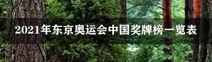 2021年东京奥运会中国奖牌榜一览表