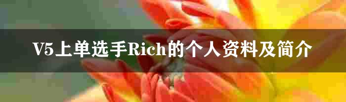 V5上单选手Rich的个人资料及简介