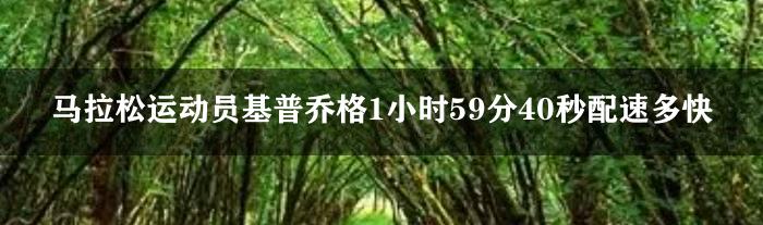 马拉松运动员基普乔格1小时59分40秒配速多快