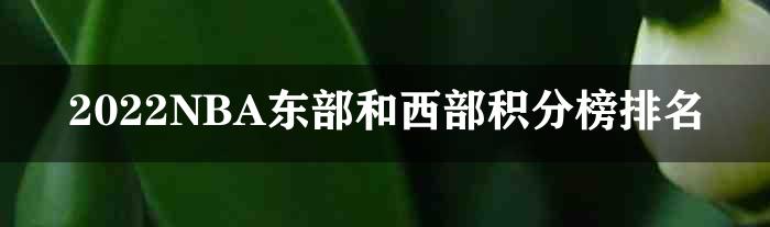 2022NBA东部和西部积分榜排名