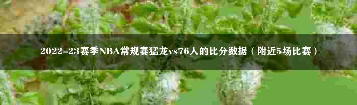 2022-23赛季NBA常规赛猛龙vs76人的比分数据（附近5场比赛）