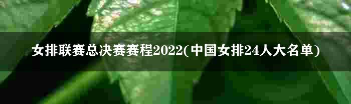 女排联赛总决赛赛程2022(中国女排24人大名单)