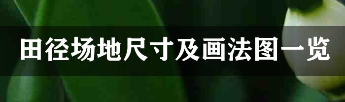 田径场地尺寸及画法图一览