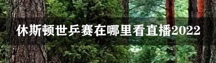 休斯顿世乒赛在哪里看直播2022