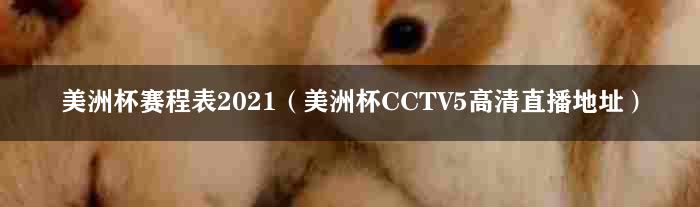 美洲杯赛程表2021（美洲杯CCTV5高清直播地址）