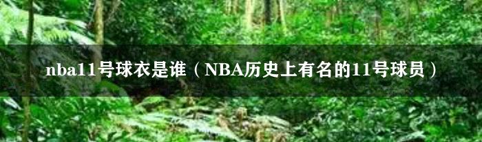 nba11号球衣是谁（NBA历史上有名的11号球员）
