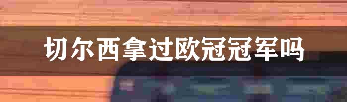 切尔西拿过欧冠冠军吗