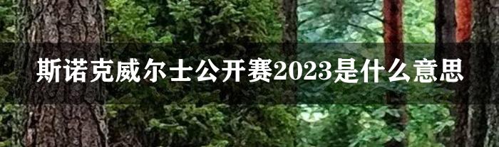 斯诺克威尔士公开赛2023是什么意思