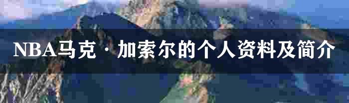 NBA马克·加索尔的个人资料及简介