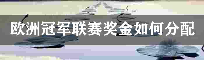 欧洲冠军联赛奖金如何分配