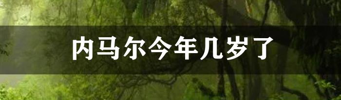 内马尔今年几岁了