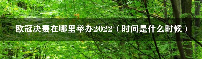 欧冠决赛在哪里举办2022（时间是什么时候）