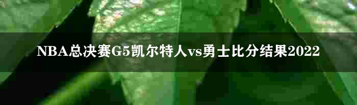 NBA总决赛G5凯尔特人vs勇士比分结果2022